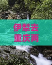 伊犁去重庆两江夜游一日价格是多少