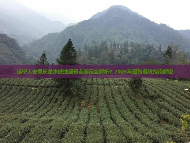 遂宁去重庆龙水峡地缝景点
