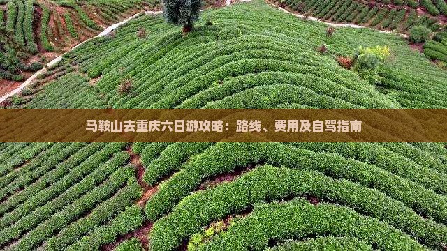 马鞍山去重庆六日游