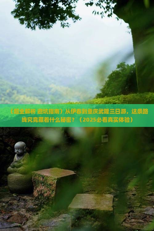 伊春去重庆武隆三日游