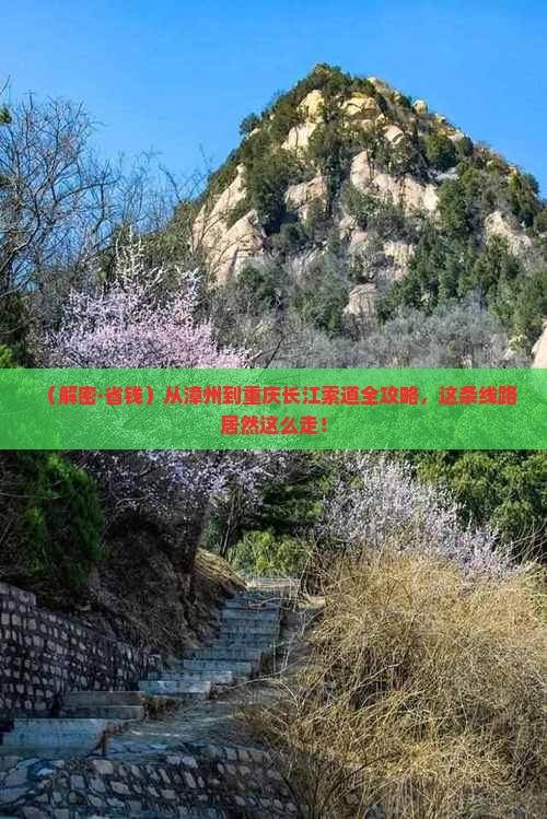 漳州去重庆长江索道旅行社