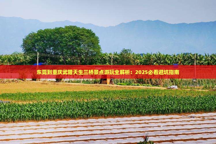 东莞到重庆武隆天生三桥景点
