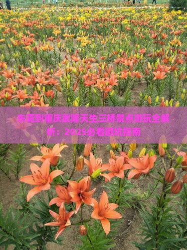 东莞到重庆武隆天生三桥景点