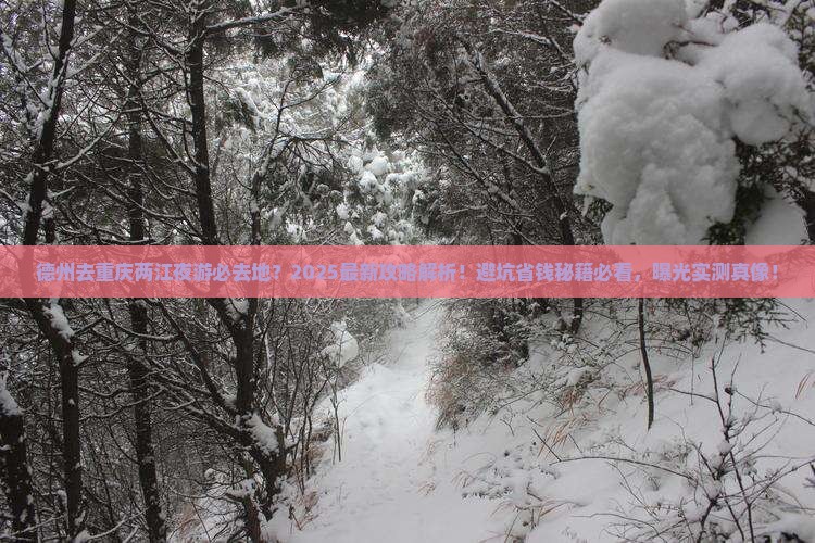 德州去重庆两江夜游必去地