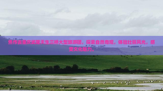 焦作去重庆武隆天生三桥大型旅游团