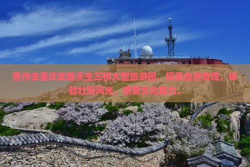焦作去重庆武隆天生三桥大型旅游团