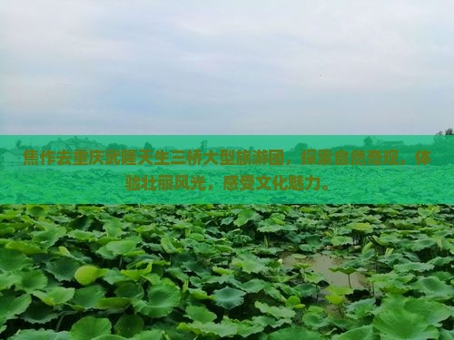 焦作去重庆武隆天生三桥大型旅游团