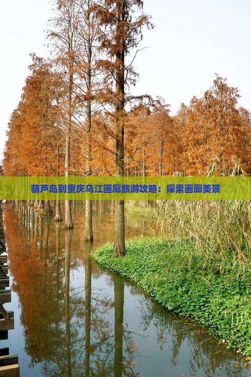 葫芦岛到重庆乌江画廊哪里玩