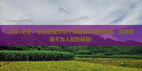 岳阳到重庆李子坝轻轨站攻略