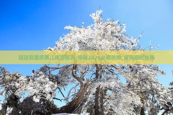 延边到重庆两江夜游旅游