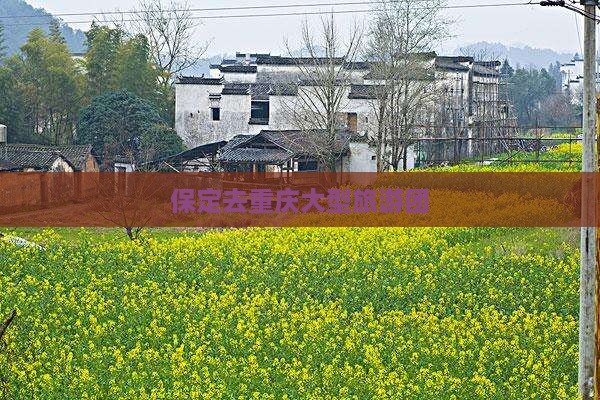 保定去重庆大型旅游团
