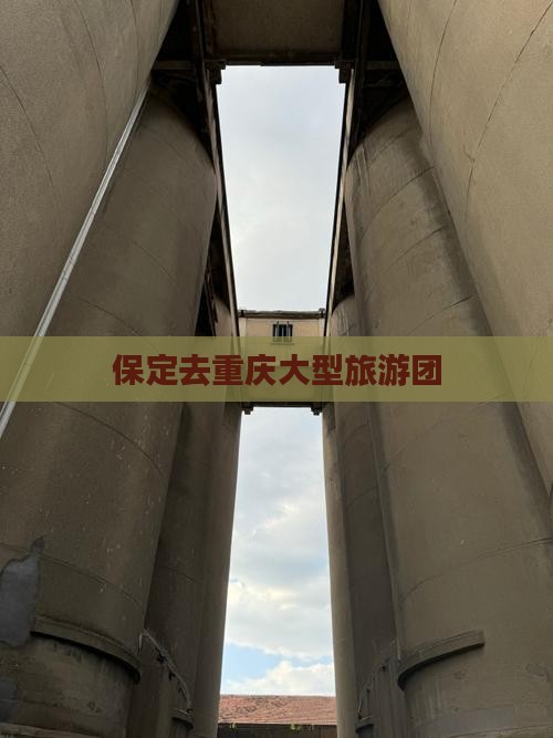 保定去重庆大型旅游团