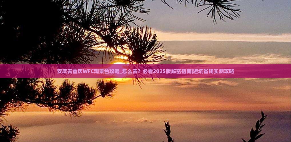 安庆去重庆wfc观景台攻略
