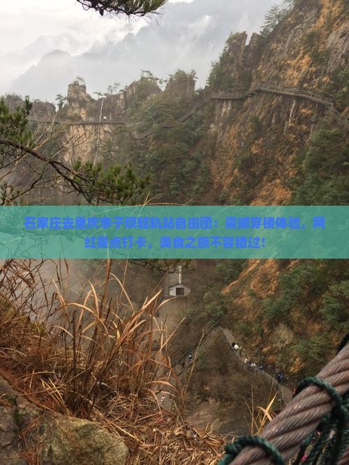 石家庄去重庆李子坝轻轨站自由团