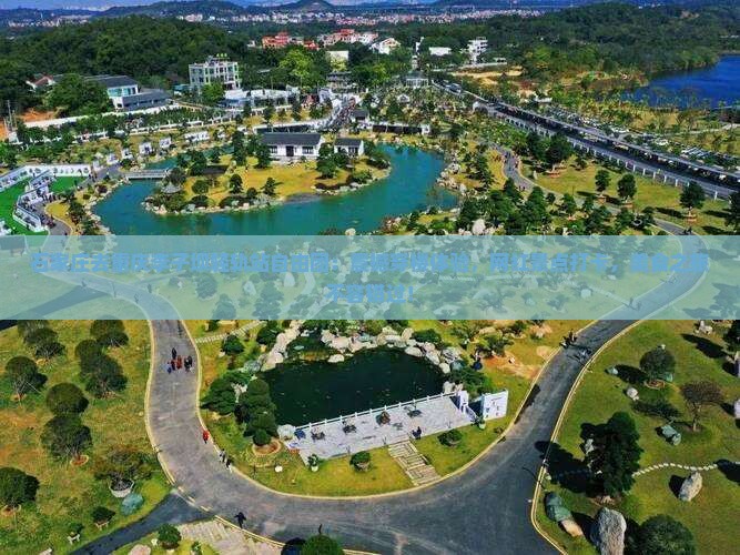 石家庄去重庆李子坝轻轨站自由团