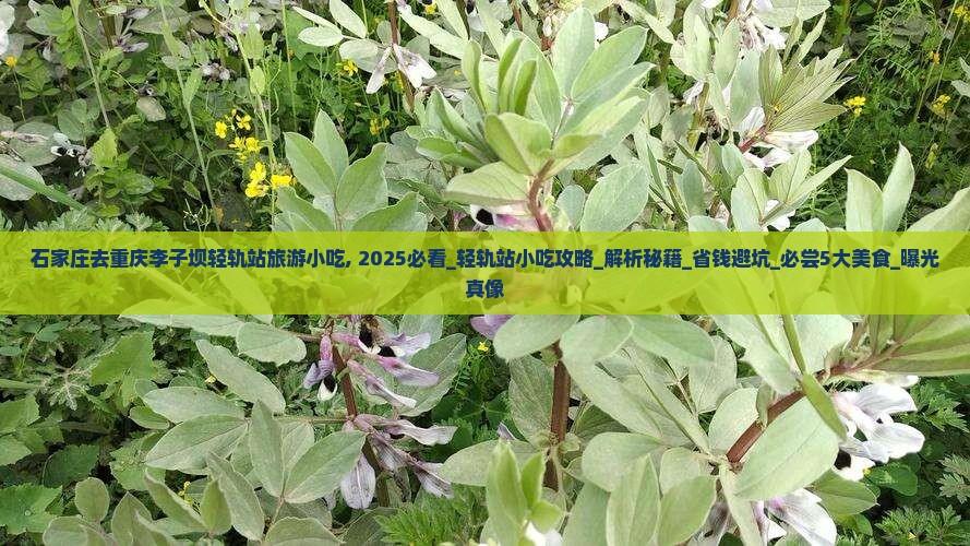 石家庄去重庆李子坝轻轨站旅游小吃