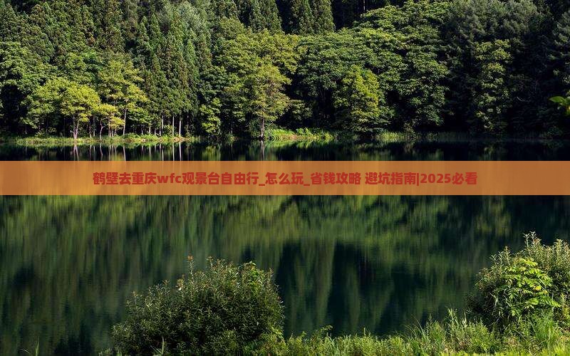 鹤壁去重庆wfc观景台自由行