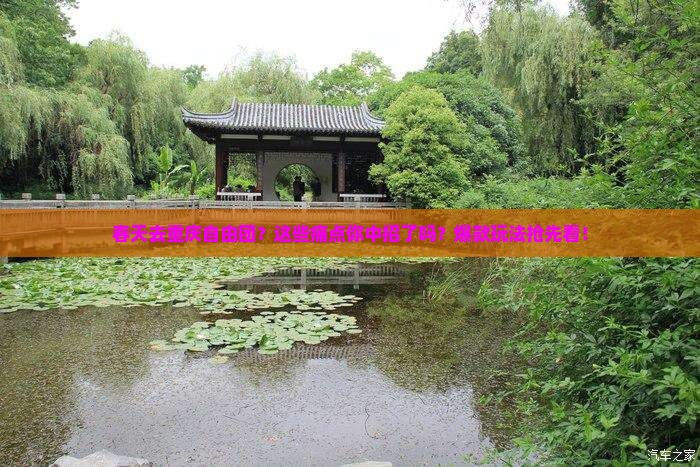春天去重庆自由团