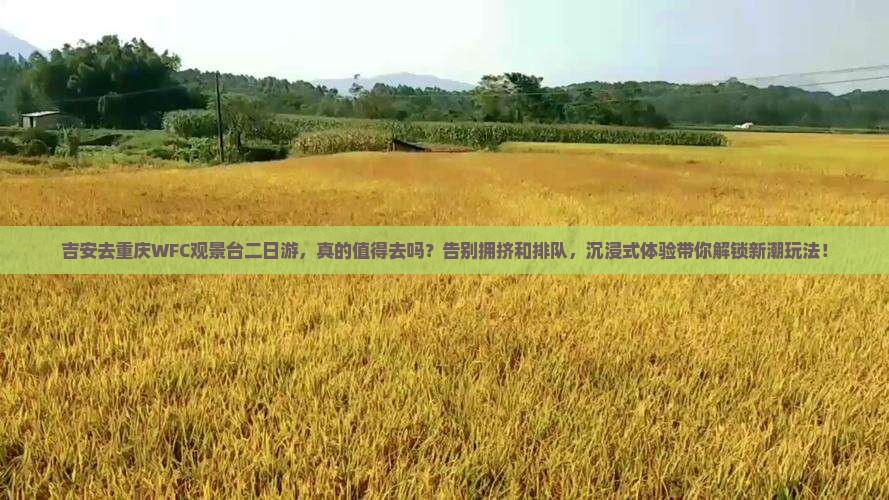 吉安去重庆wfc观景台二日游