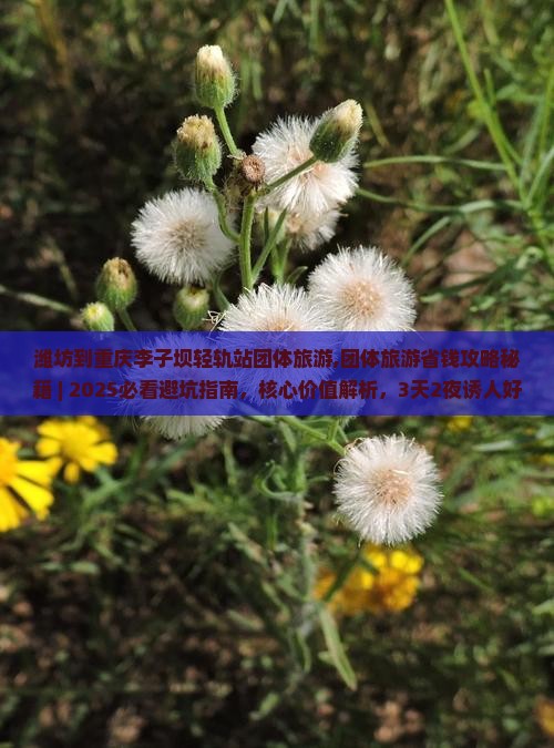 潍坊到重庆李子坝轻轨站团体旅游