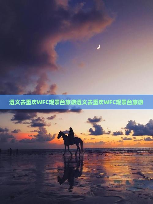遵义去重庆wfc观景台旅游