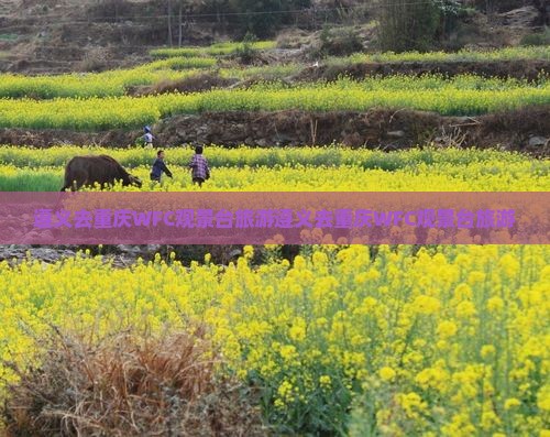 遵义去重庆wfc观景台旅游