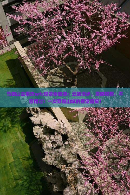 马鞍山去重庆wfc观景台旅游