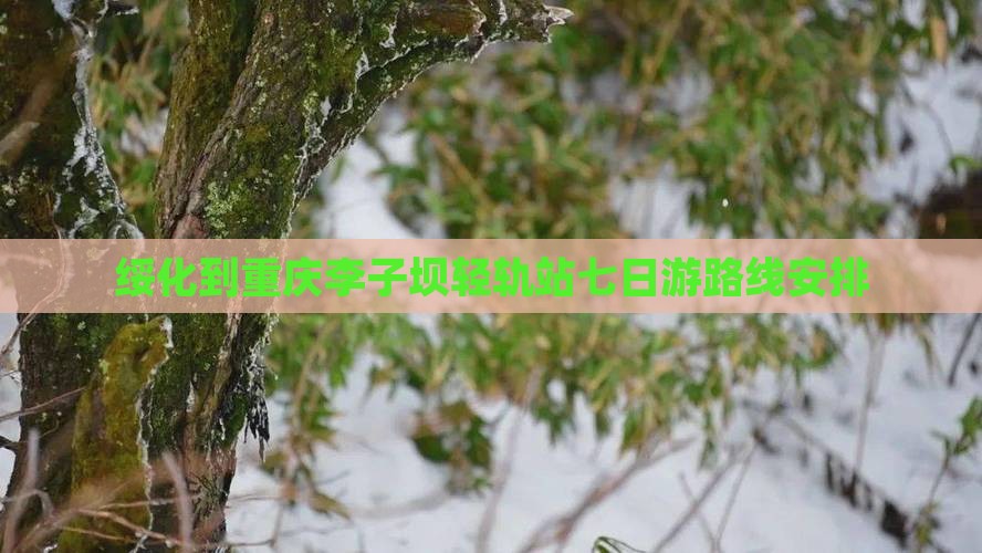 绥化到重庆李子坝轻轨站七日游
