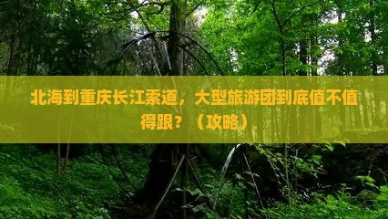 北海到重庆长江索道大型旅游团