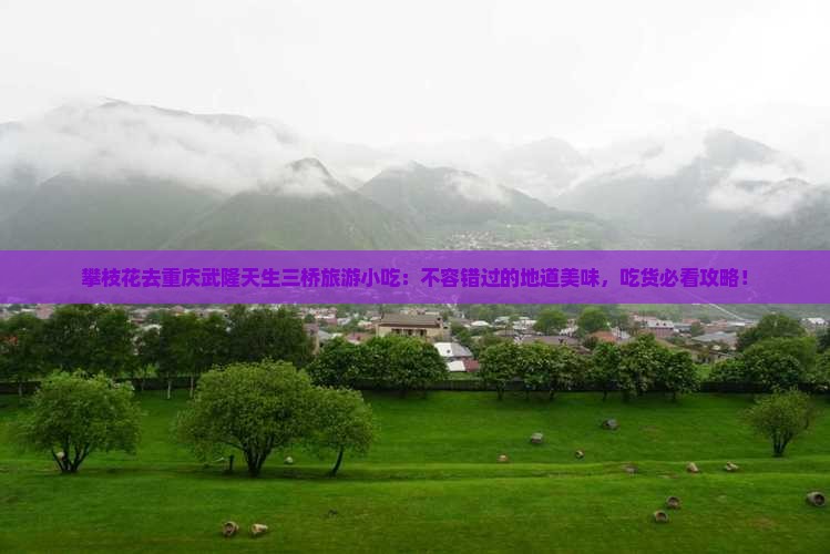 攀枝花去重庆武隆天生三桥旅游小吃