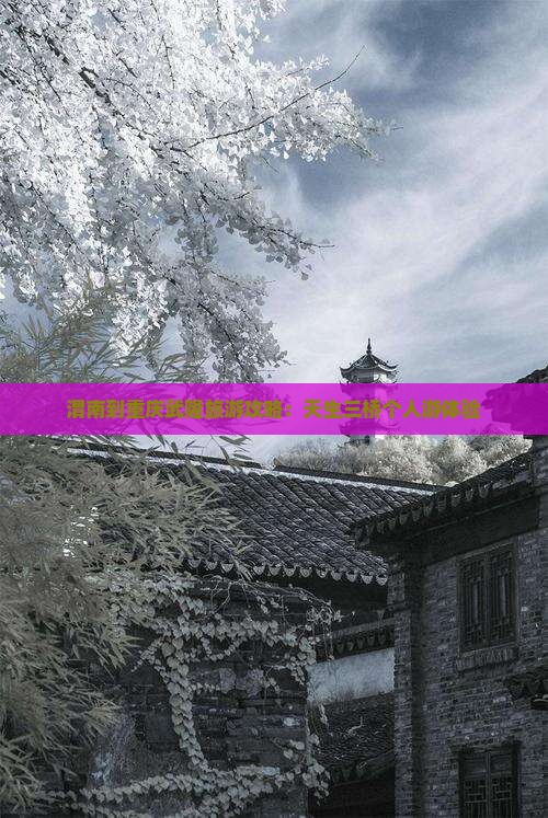 渭南到重庆武隆天生三桥个人游