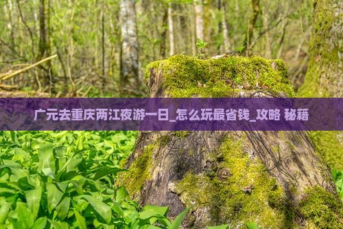 广元去重庆两江夜游一日