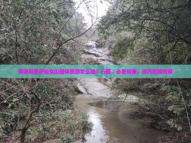 巢湖到重庆仙女山团体旅游
