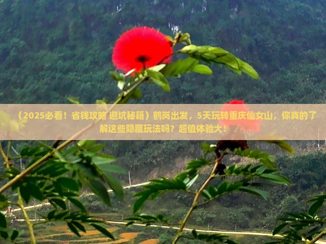 鹤岗去重庆仙女山五日游