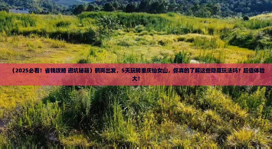 鹤岗去重庆仙女山五日游