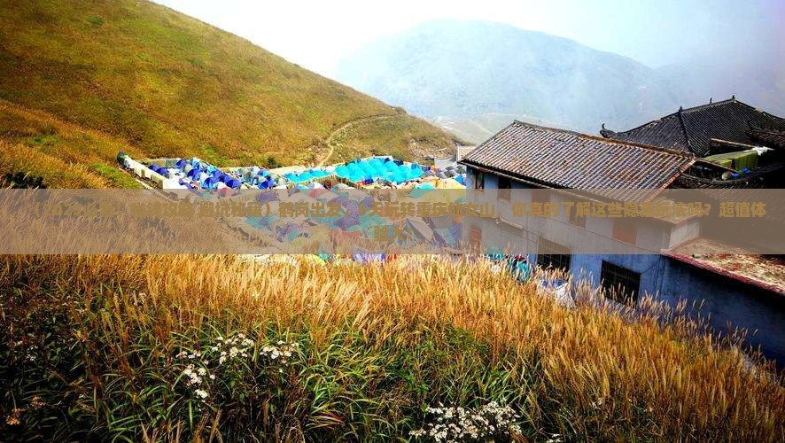 鹤岗去重庆仙女山五日游