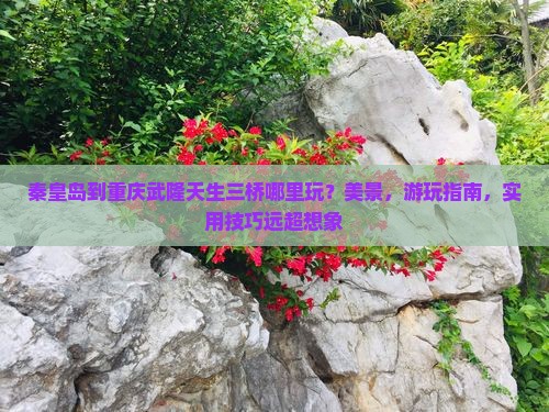 秦皇岛到重庆武隆天生三桥哪里玩