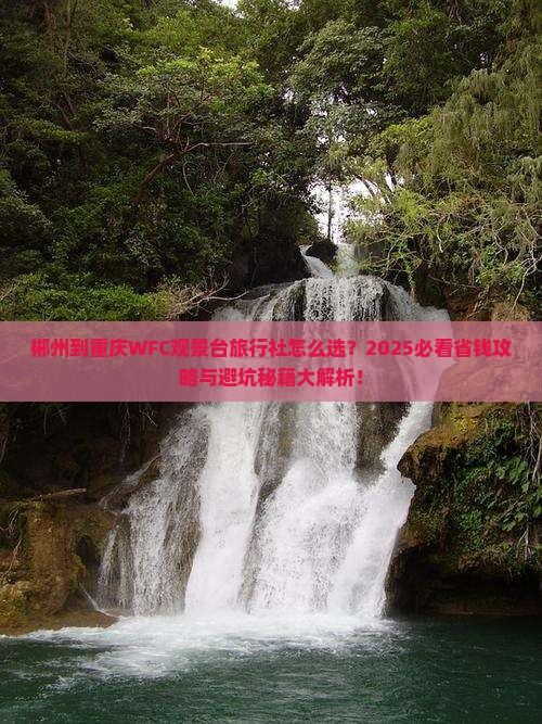 郴州到重庆wfc观景台旅行社