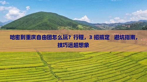 哈密到重庆自由团