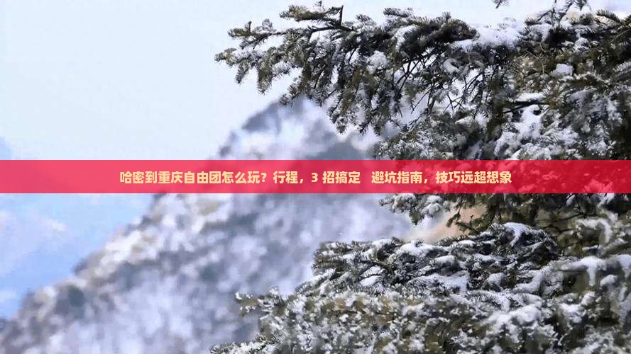 哈密到重庆自由团