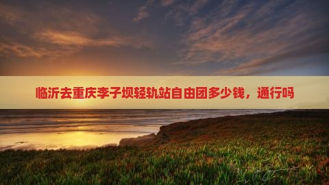 临沂去重庆李子坝轻轨站自由团