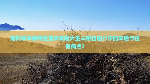 如何解决锦州至重庆武隆天生三桥自由行中的交通与住宿痛点？
