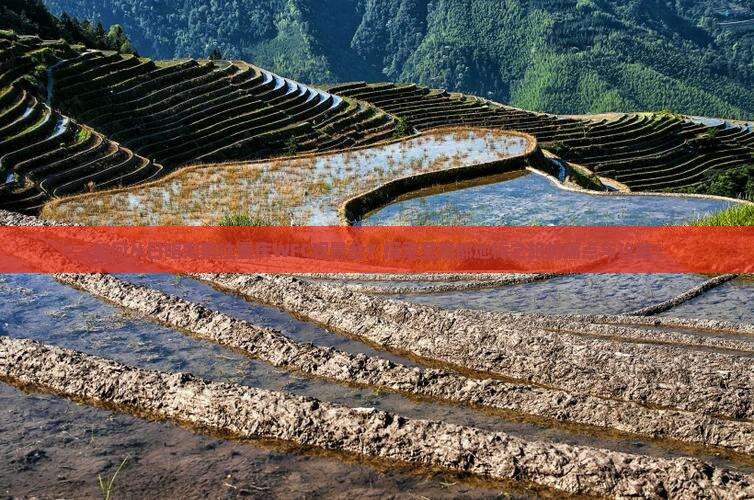 如何从日喀则前往重庆WFC观景台？探索至魔都地标之旅的痛点与攻略！