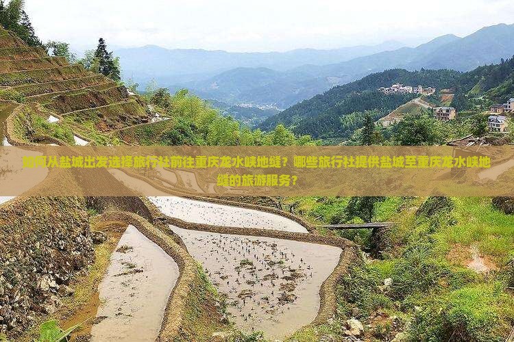 如何从盐城出发选择旅行社前往重庆龙水峡地缝？哪些旅行社提供盐城至重庆龙水峡地缝的旅游服务？