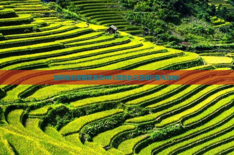 如何规划安阳至重庆WFC观景台三日游行程与攻略？