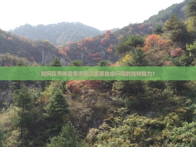 如何在节体验重庆长江索道自由行团的独特魅力？