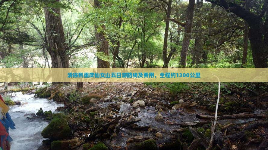 清徐到重庆仙女山五日游路线及费用，全程约1300公里