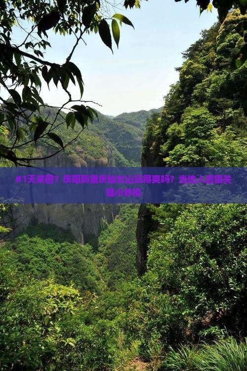 #1天来回？庆阳到重庆仙女山玩得爽吗？当地人透露关键小妙招