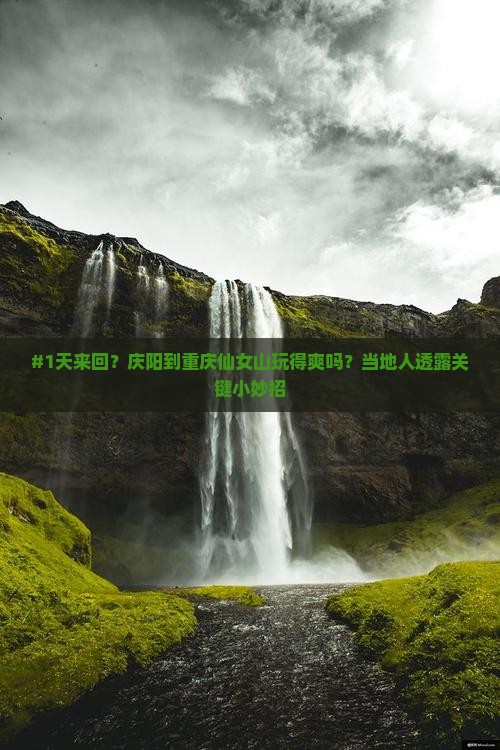 #1天来回？庆阳到重庆仙女山玩得爽吗？当地人透露关键小妙招