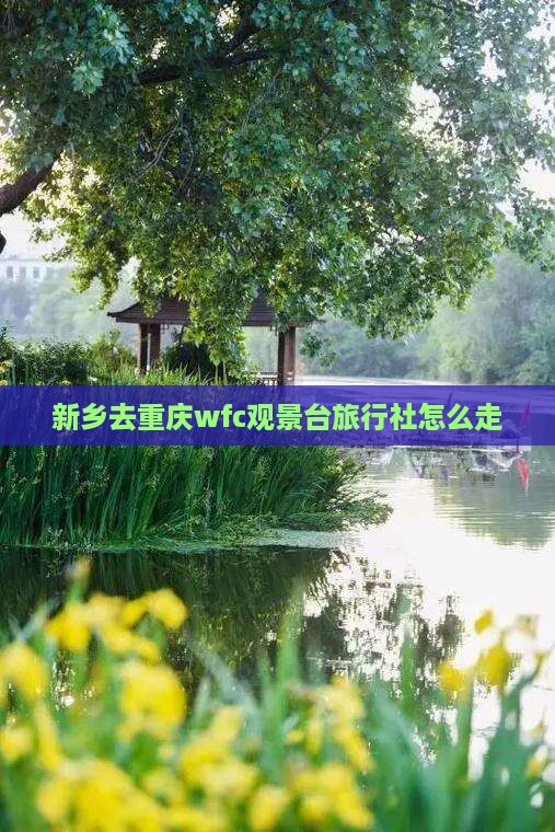 新乡去重庆wfc观景台旅行社怎么走